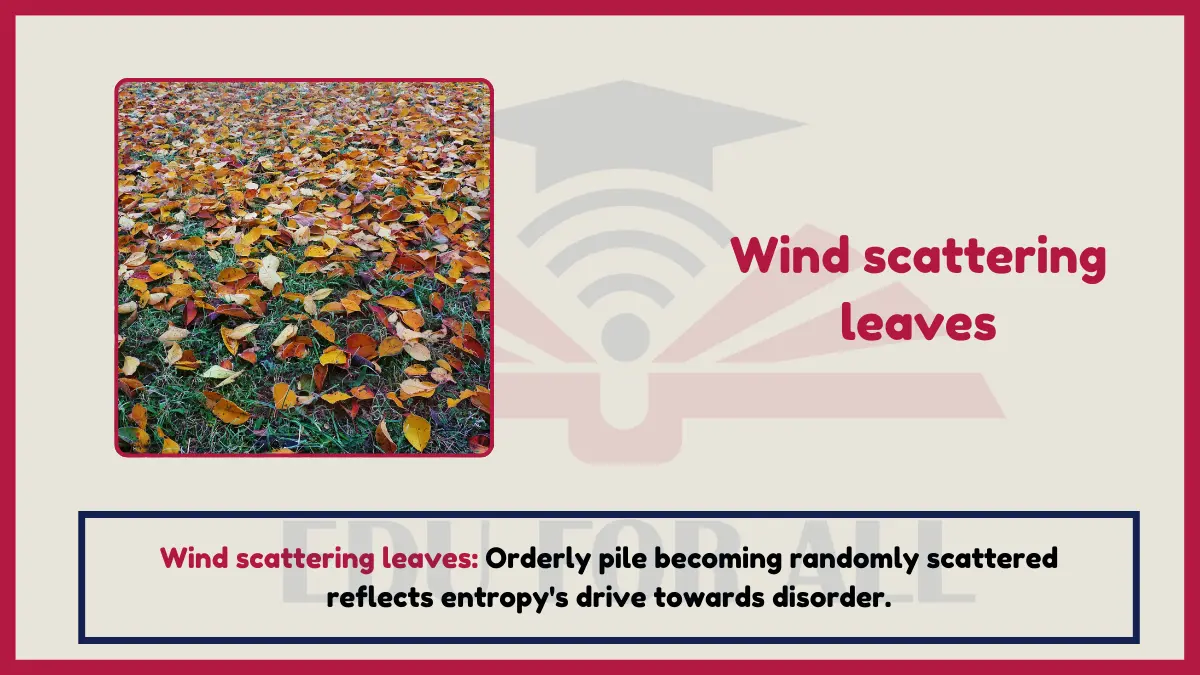 image showing Wind scattering leaves as an example of entropy