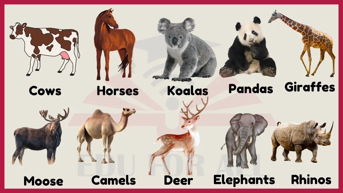 featured image of Examples of Herbivores